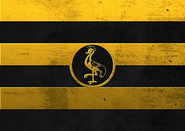 flag of Uganda cityscapes