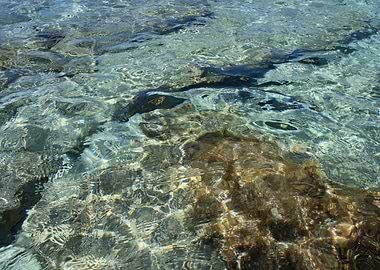 Kedrodasos beach creta