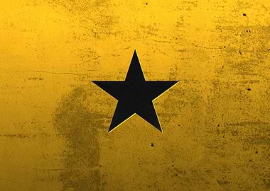 flag of Vietnam citysapes