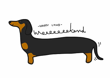Long weekend dachshund