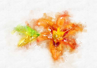 lily orange watercolor