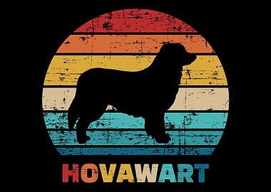 Hovawart