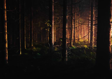 Dark Forest