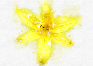yellow lily watercolor