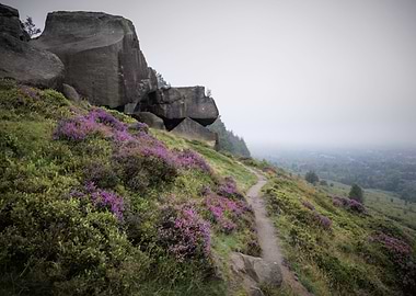 Ilkley Moor Landscape