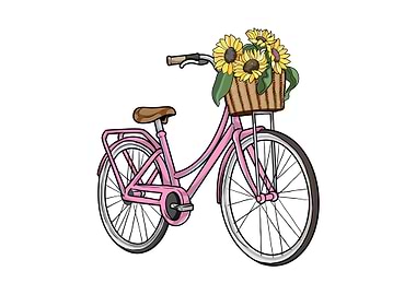 Womens Bike Basket Flowers