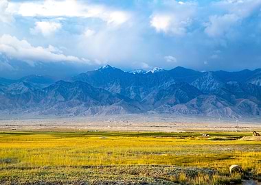 Blue Mountain Landscape