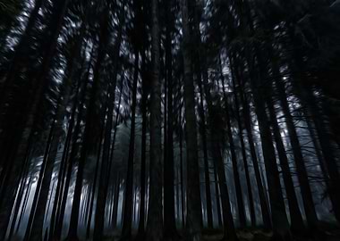 Dark Forest