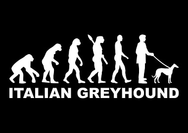 Italian Greyhound