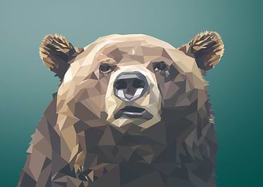 Polygon bear