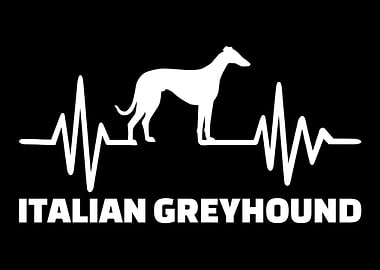 Italian Greyhound