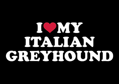 Italian Greyhound