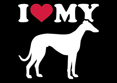 Italian Greyhound