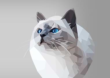 White polygon cat
