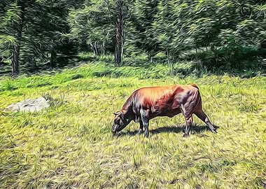 Grazing bull in the Alps