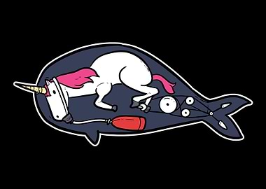 Narwahle Diving Funny Dive