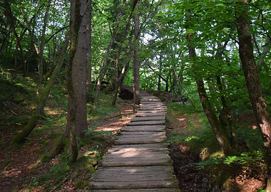 Path through Plitvice