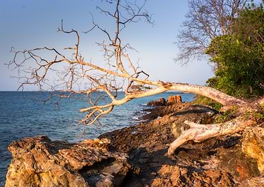 Madagascar island sunset