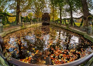 Autumn leaves pattern