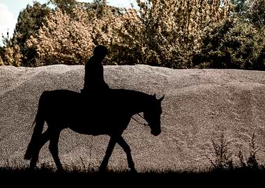Horse silhouette