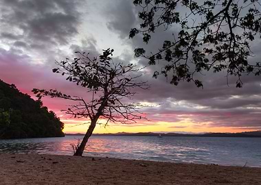 Madagascar Landscape