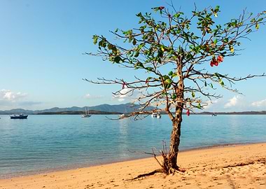 Madagascar Landscape