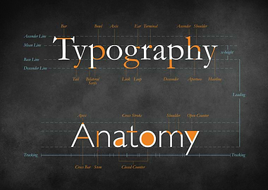 Anatomy of Typography
