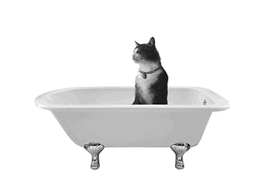 BATHTUB HAPPY CAT