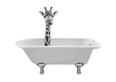 BATHTUB GIRAFFE