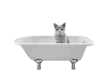 BATH GREY CAT
