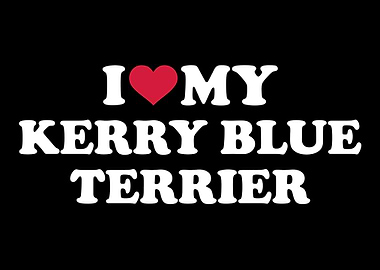 Kerry Blue Terrier