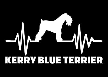 Kerry Blue Terrier