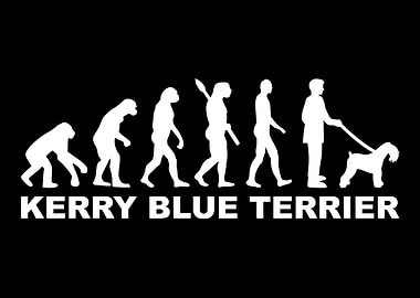 Kerry Blue Terrier