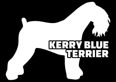 Kerry Blue Terrier