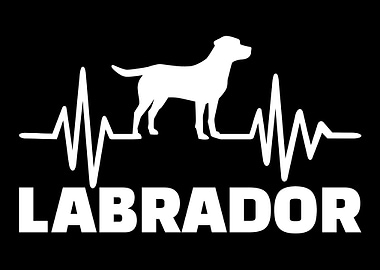 Labrador