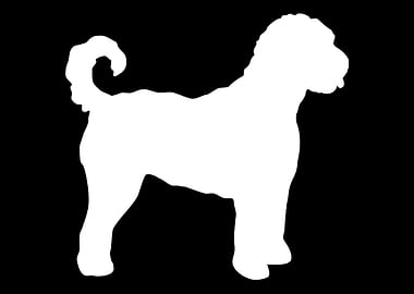 Labradoodle