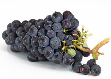Grapes
