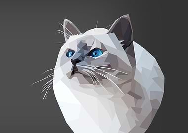 Polygon cat