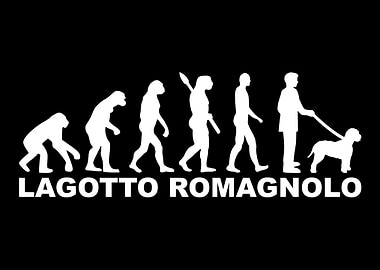 Lagotto Romagnolo
