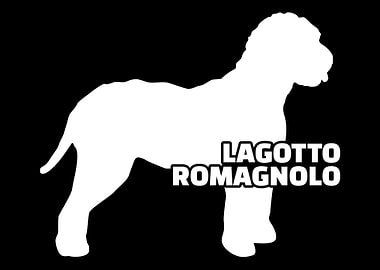 Lagotto Romagnolo