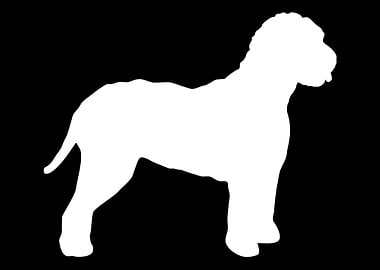 Lagotto Romagnolo