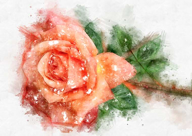 orange rose watercolor