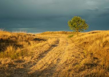 After storm golden land