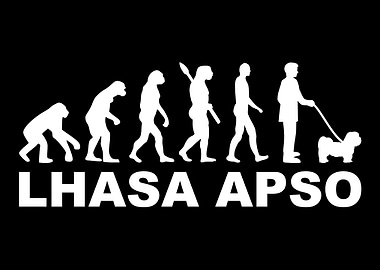 Lhasa Apso