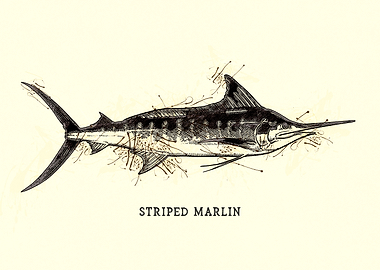 Striped Marlin Vintage