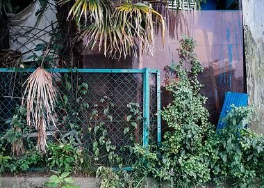 The Vegetative State