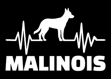 Malinois