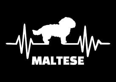 Maltese