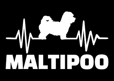 Maltipoo