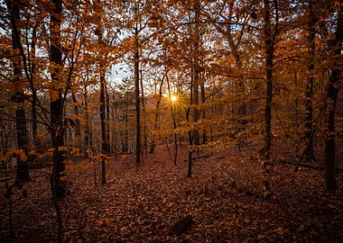 Beautiful Fall Colors